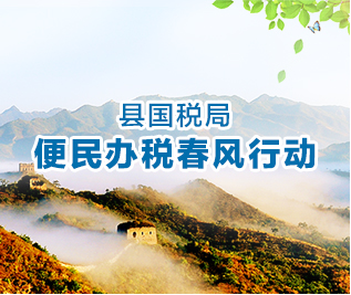 縣國稅局便民辦稅春風行動專題
