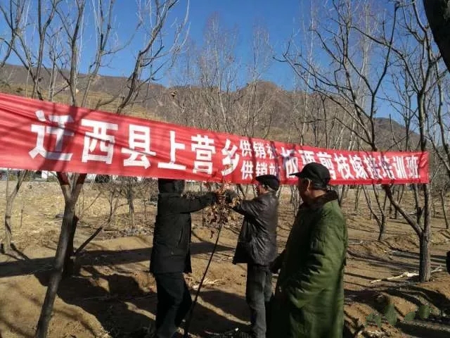 上營鄉(xiāng)1.webp.jpg