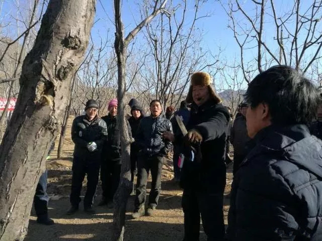 上營鄉(xiāng)3.webp.jpg