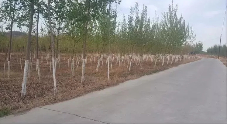 1524788960955200.jpg