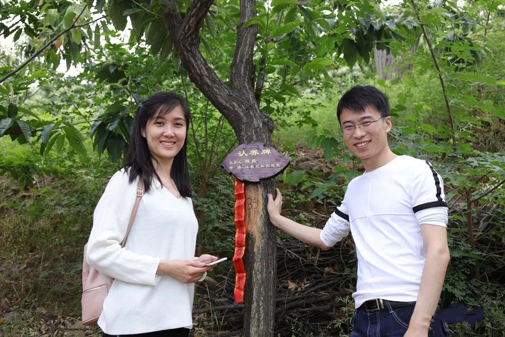栗鄉(xiāng)情2.webp.jpg