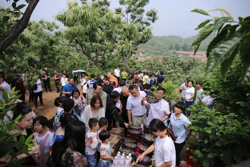 栗鄉(xiāng)情1.webp.jpg