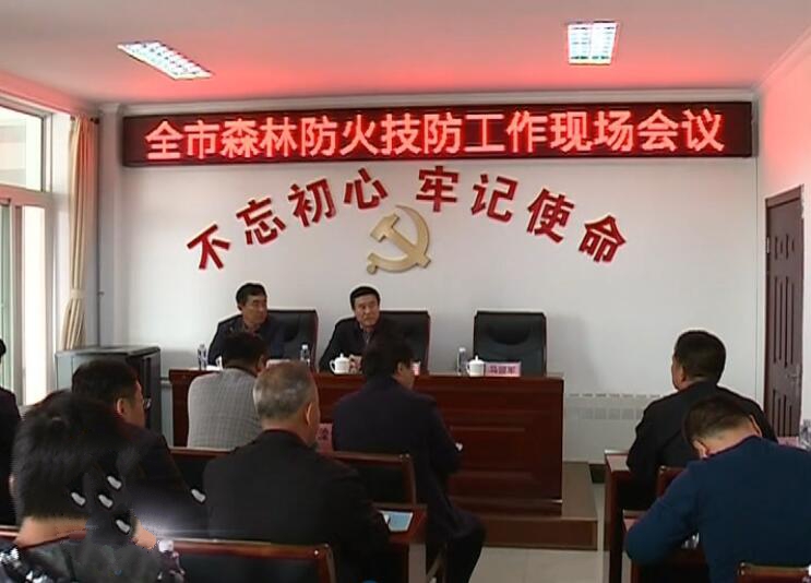 全市森林防火視頻會議.jpg
