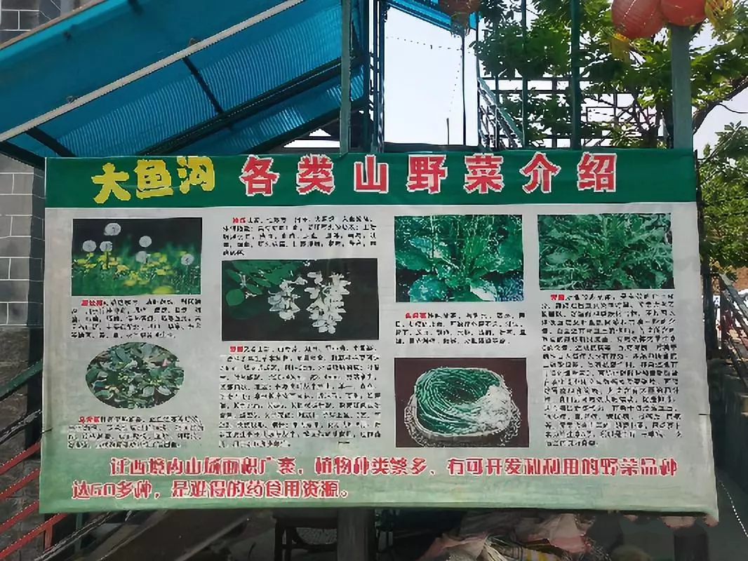 野菜.webp.jpg