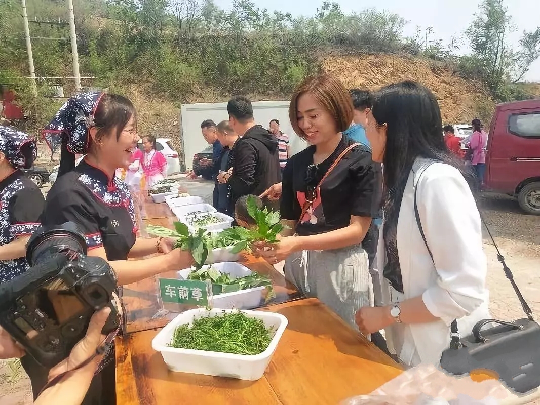 野菜3.webp.jpg