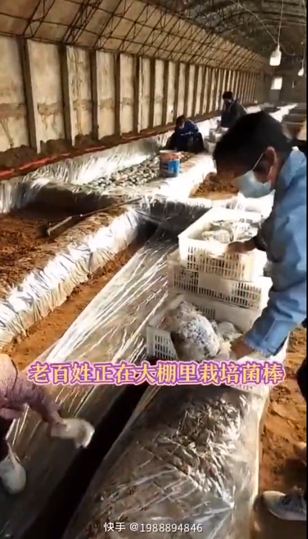 無標題.png