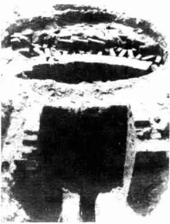 58.jpg