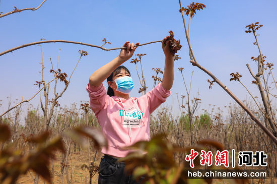 U1082P18T5D422851F86DT20220420160330.jpeg