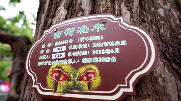 QQ圖片20220622084704.png