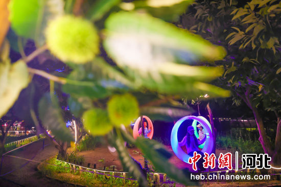 U1082P18DT20220810163824.jpeg