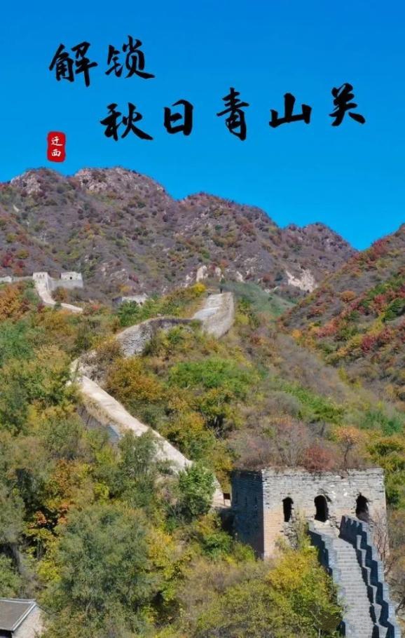 743.jpg