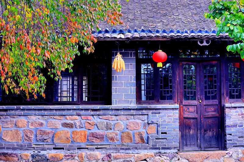 50140237_703e6fb2-ac43-4a8c-a343-f03cdef204a8copy.jpg