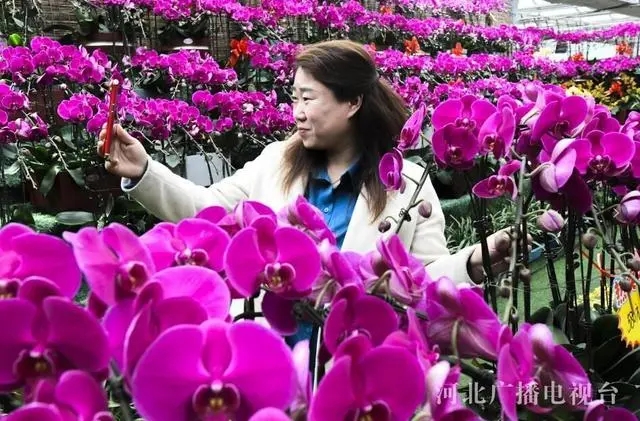 d50735fae6cd7b89e7fc2d6db570cdacd8330e2f.webp.jpg