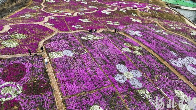 DM_20230410083324_001.jpg