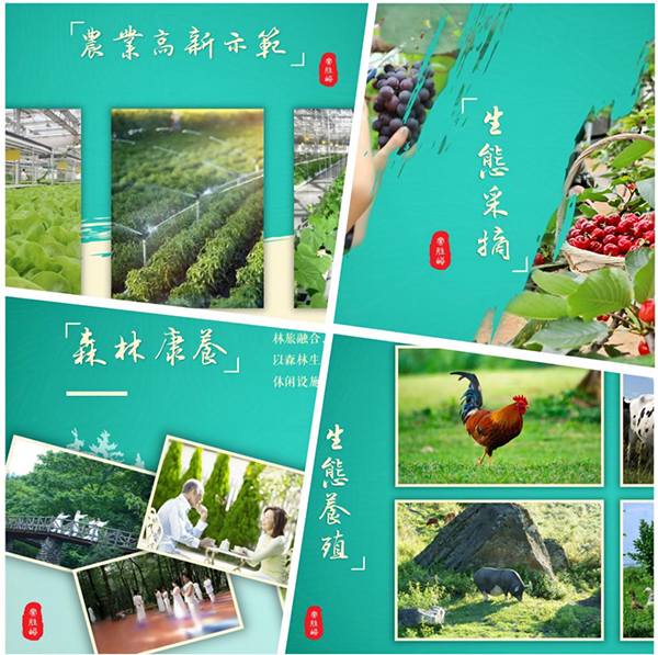QQ圖片20230419083943.png