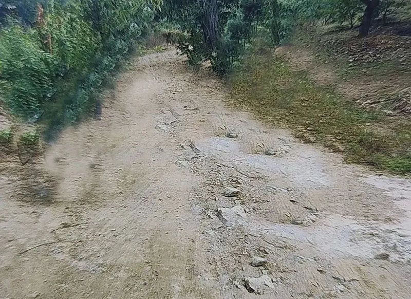640.jpg
