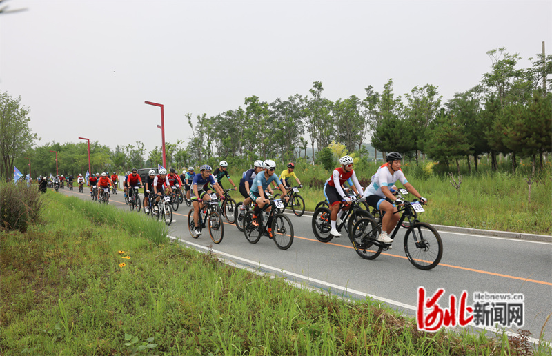 d0895676-f249-421f-b4d0-ec7781e40ca5.jpg