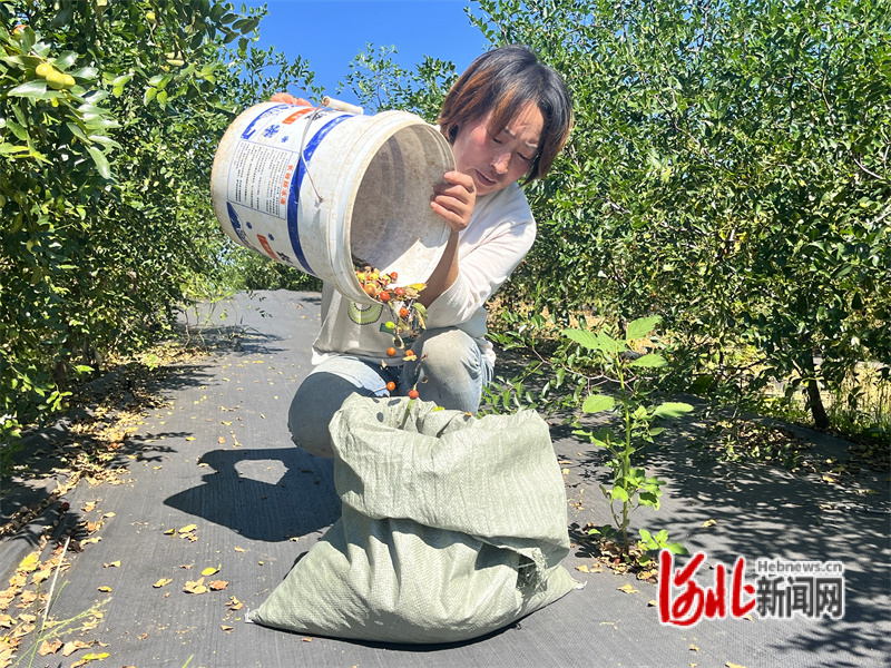 133a8384-8ce2-4f58-9dfd-a91e6630e8fa.jpg
