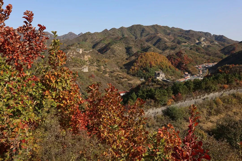 DM_20241104085027_001.jpg