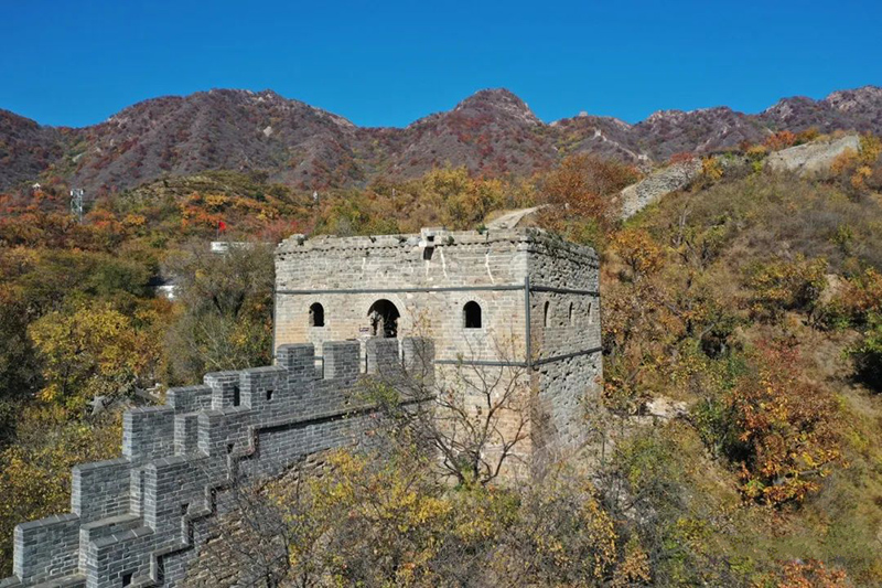 DM_20241104085027_004.jpg