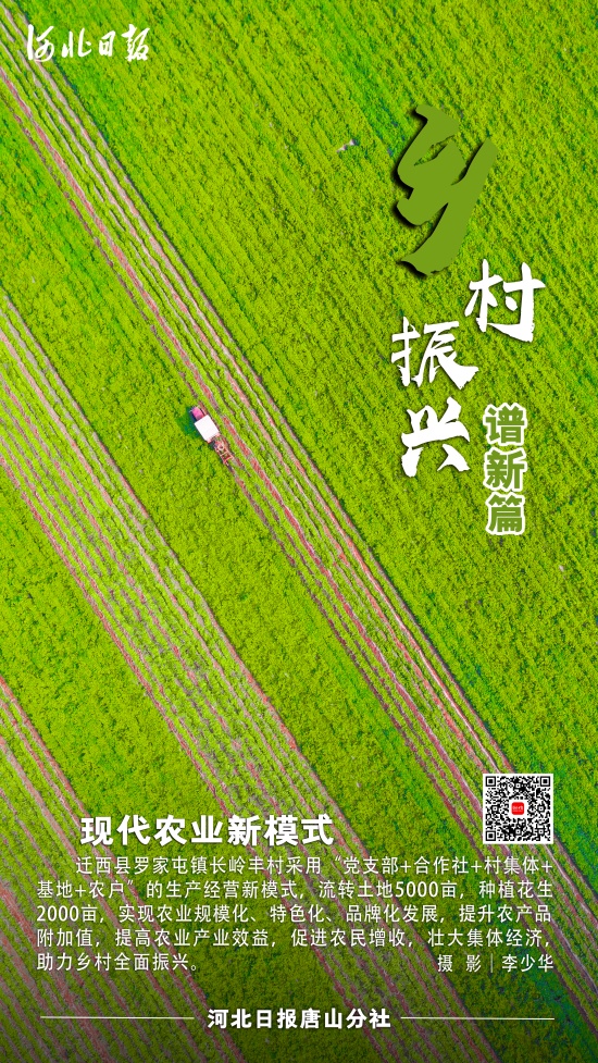 DM_20250208083045_005.jpg