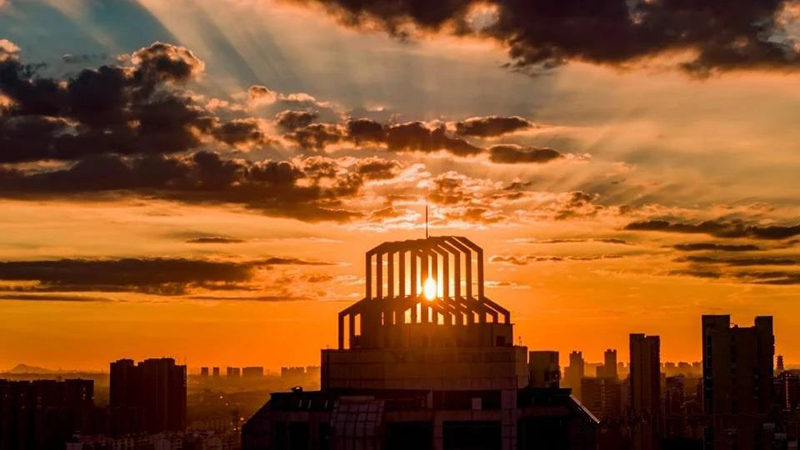 DM_20250220080709_004.jpg