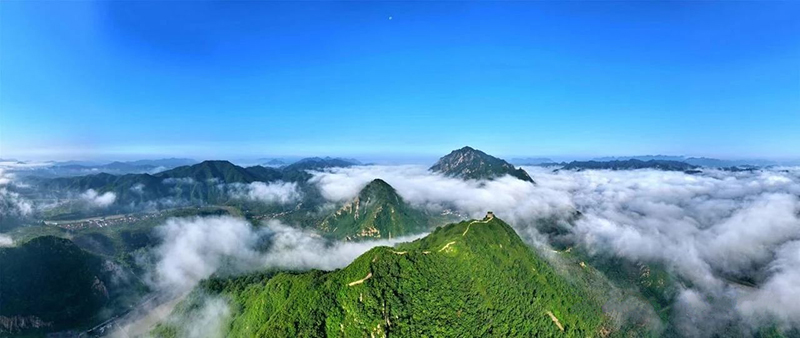 DM_20250220080709_040.jpg